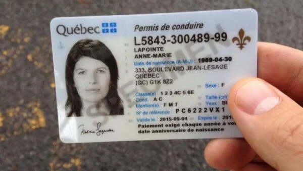 quebec drivers license | ყიდვა კანადის drivers license ონლაინ