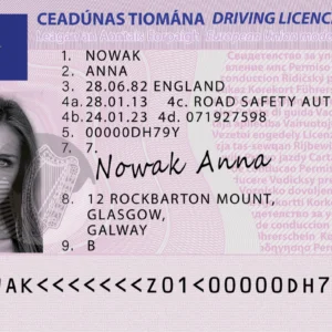 ireland drivers license | buy fake Irish driving license online