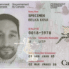 Buy Canadian Permanent Residence permit