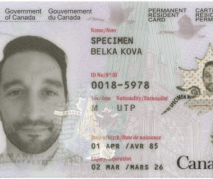 Buy Canadian Permanent Residence permit