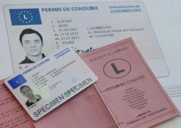 Comprar Luxemburgo Carta de Condução online